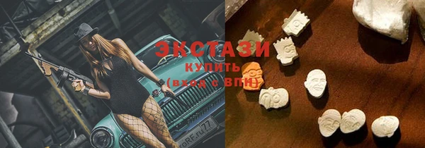 дживик Богородицк
