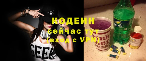 хмурый Богородск