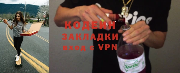 дживик Богородицк