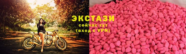дживик Богородицк