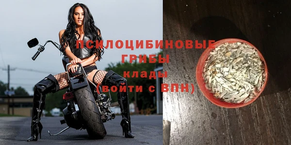 сатива Бугульма
