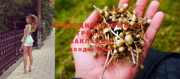 дживик Богородицк