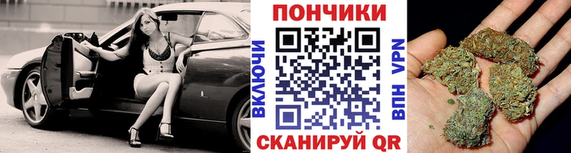магазин    Гусев  KRAKEN зеркало  Канабис семена 